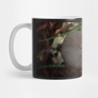 Nature&#39;s Button Mug